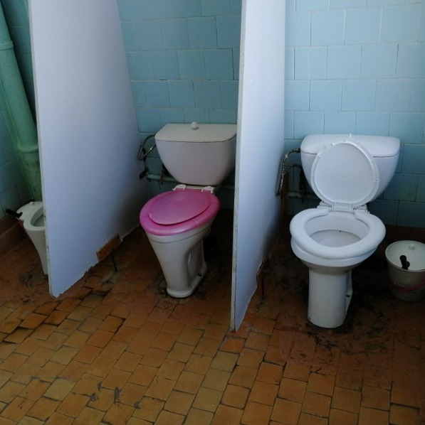 Школьный туалет Лесного борется за звание худшего в России