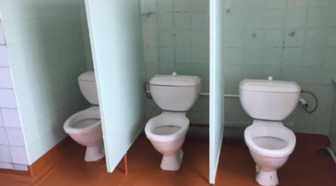“Лицей” Лесного заключил договор на ремонт туалетов. Сделано это было только после жалоб учеников